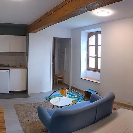 Dans Un Corps De Ferme Apartment Montaut (Ariege)